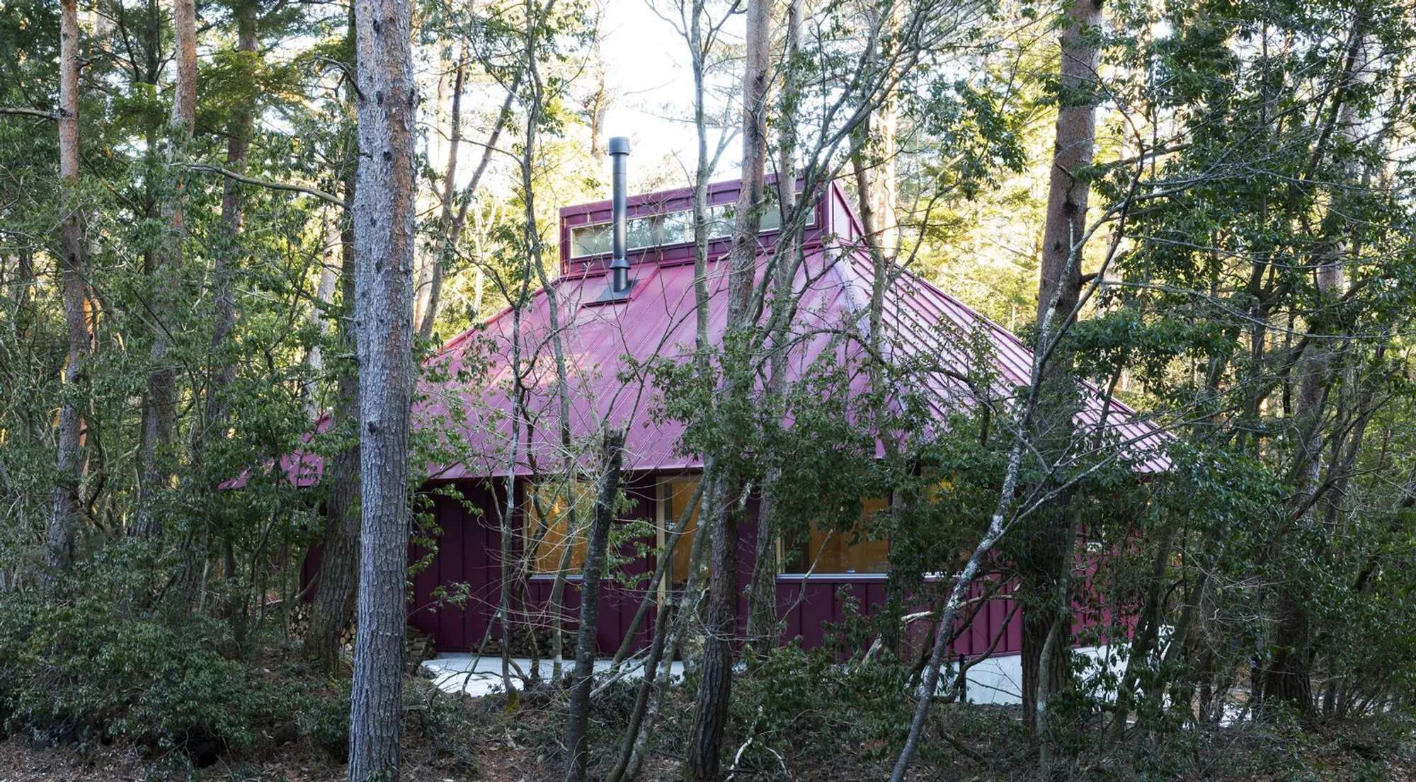 House in the Forest by Office Ten Architecture — A Minimalist Cedar Retreat Near Mount Fuji