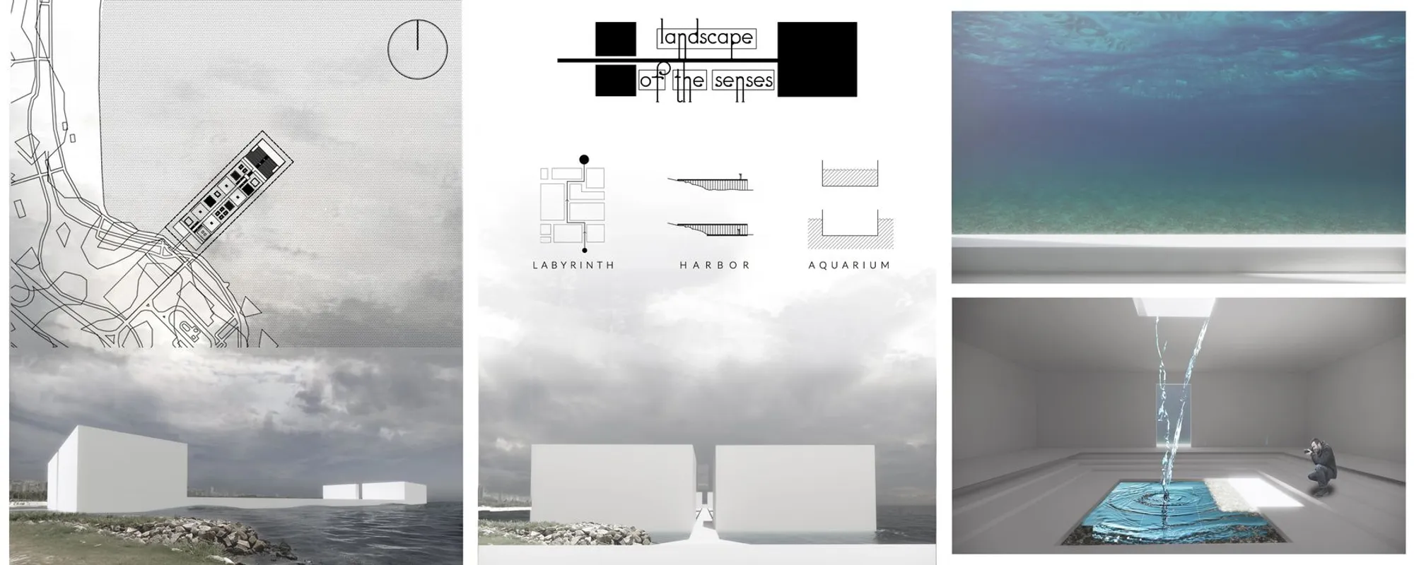 Landscape of the Senses: Architecture as a Multisensory Journey Along the Coast
