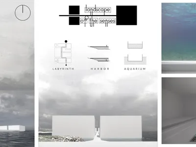 Landscape of the Senses: Architecture as a Multisensory Journey Along the Coast