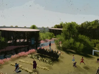Community areas and natural areas