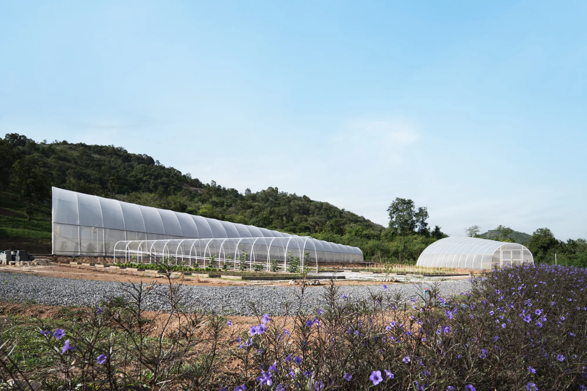 Eco-Friendly Campsite Design in the Highlands – Khanong Phra Campsite by PHTAA Living Design