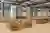 Biophilic Office Design – The Jellicoe Workspace by Universal Design Studio