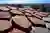 Kangbashi Trail: A Harmonious Blend of Nature, Fitness, and Urban Design in Ordos, China