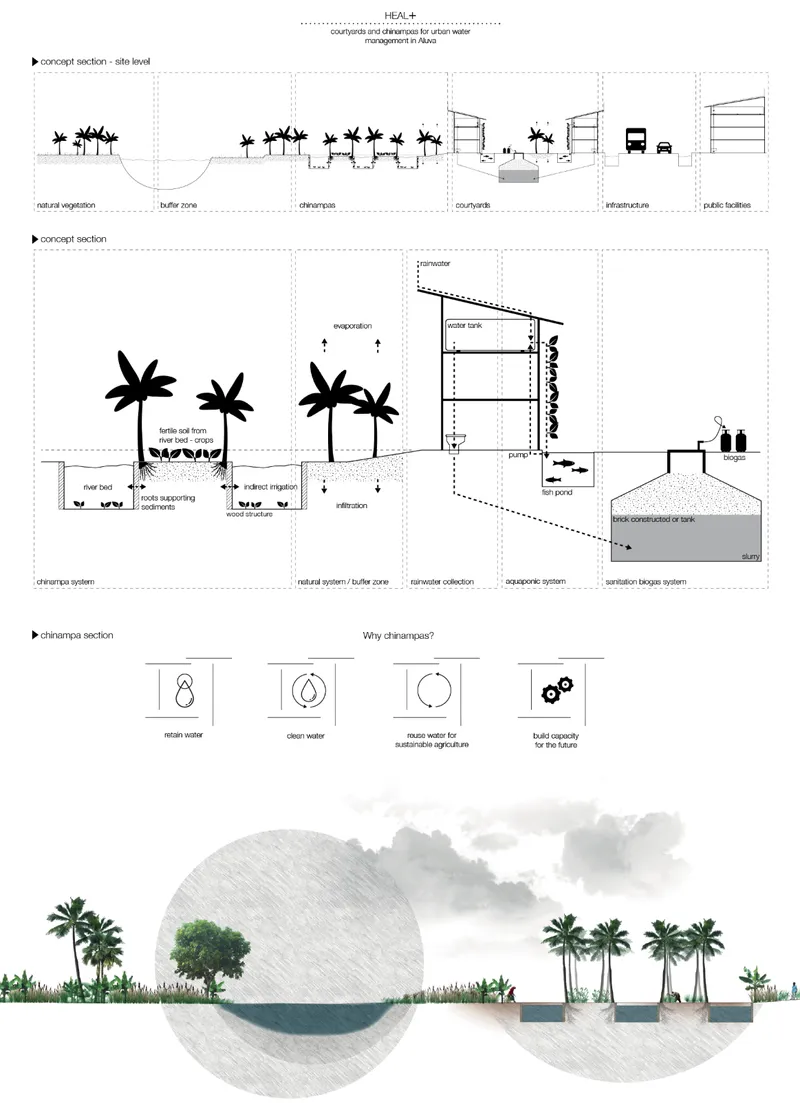 Conceptual sections and diagrams illustrating water management and landscape zones with palm trees