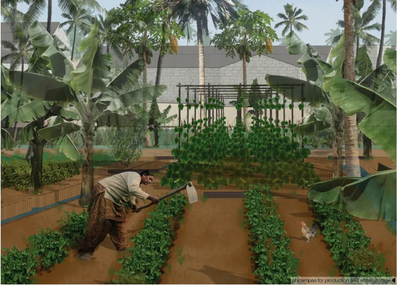 Community garden with raised planting beds framed by banana trees and vertical greenery screens
