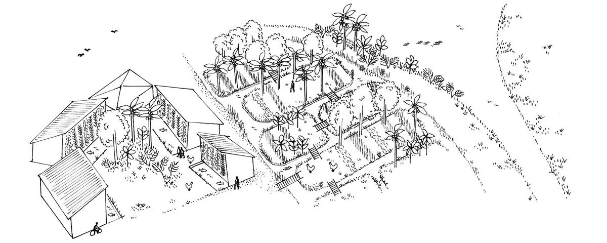 Courtyards and Chinampas: Flood-Resilient Water Urbanism for Kerala's River Island