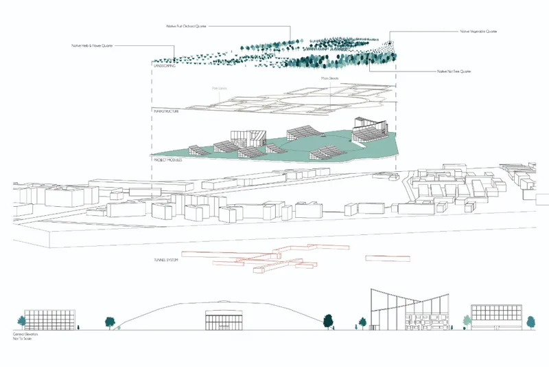 Composite drawing showing sections and elevations of a linear development with rooftop vegetation layers