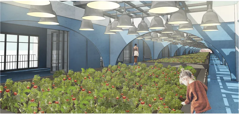 Vaulted interior space with raised planting beds of leafy greens and pendant industrial lights overhead