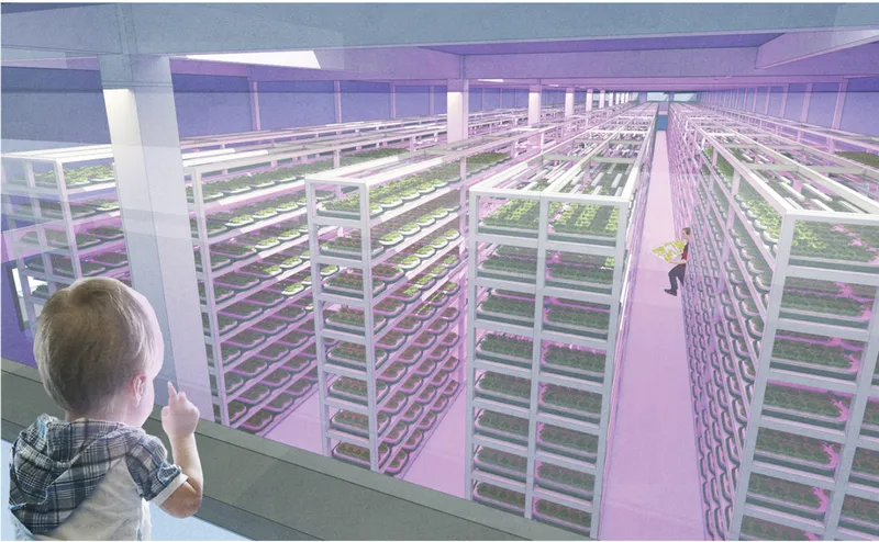 Interior rendering of hydroponic farming hall with rows of white vertical racks under purple grow lights