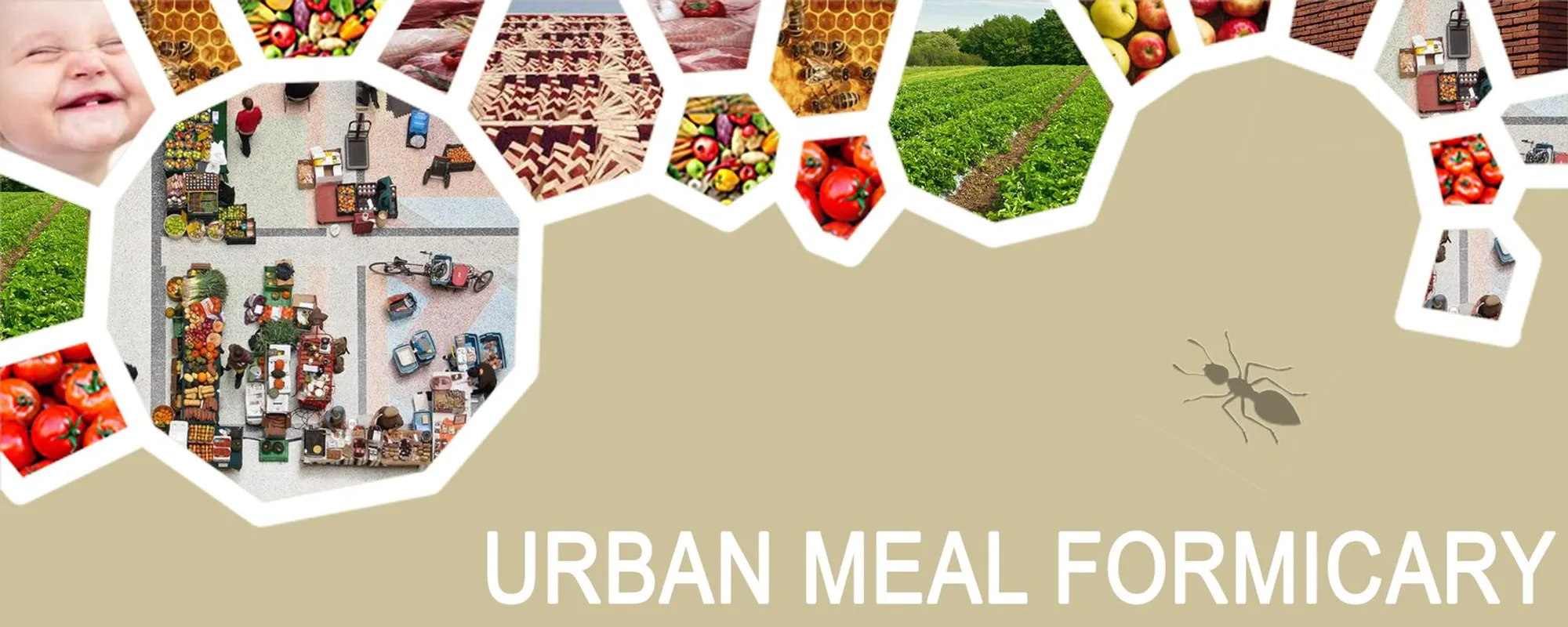 Urban Meal Formicary: Ant Colony Logic Applied to Urban Agriculture