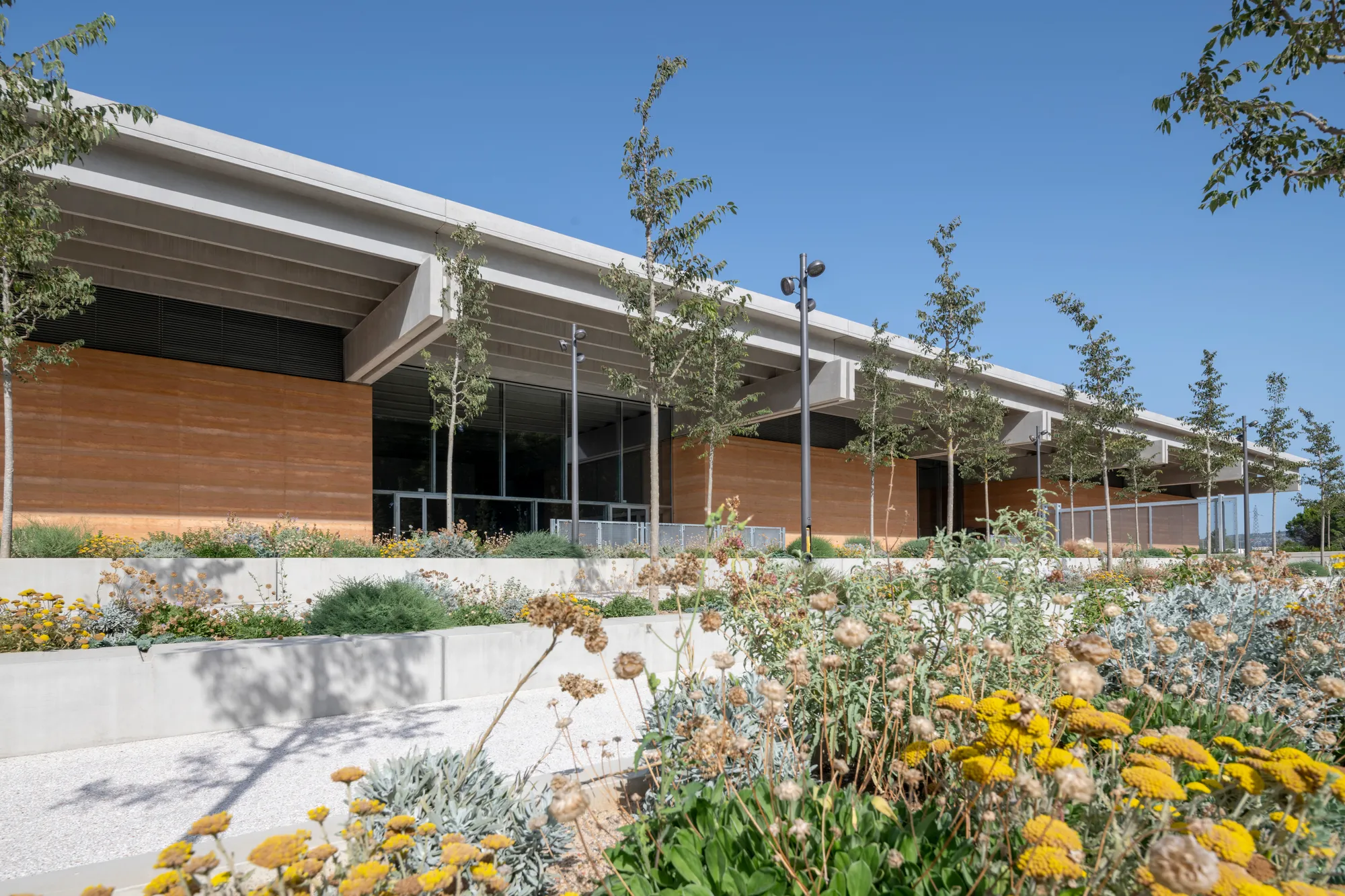 Narbo Via Museum: A Landmark of Roman Heritage and Modern Architecture by Foster + Partners