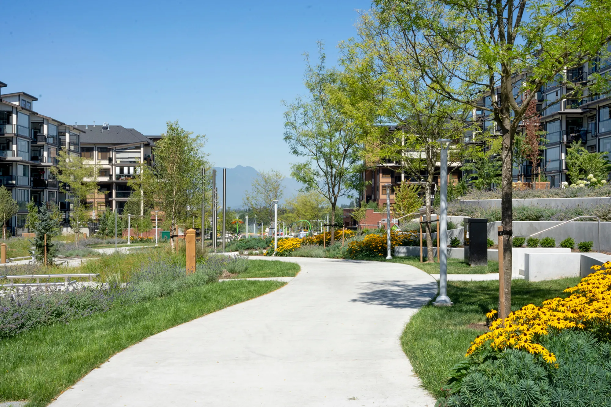 Carvolth Integrated Open Space – Goldenview Park by PMG Landscape Architects