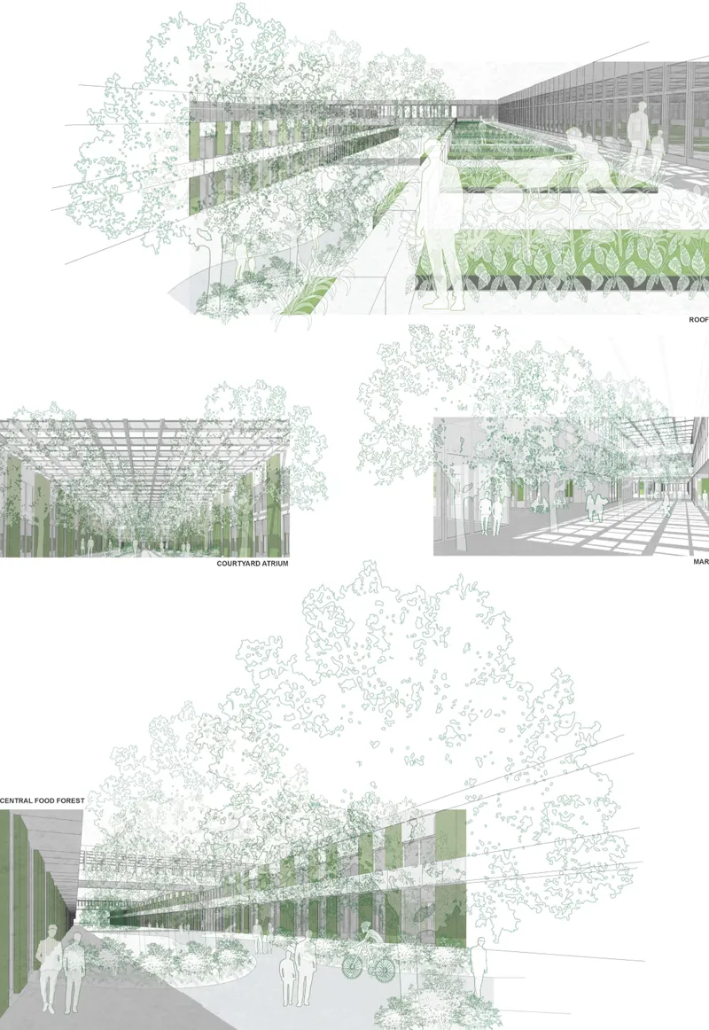 Perspective rendering series showing rooftop gardens with raised planting beds and visitors among tree canopies