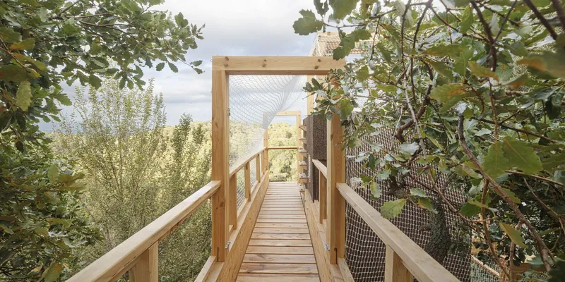 Timber walkway with handrails leading through an arched mesh canopy with tree branches overhead