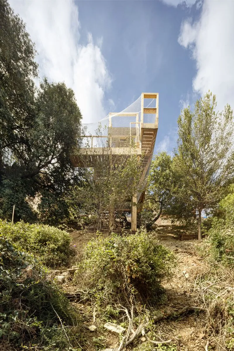 Elevated timber structure with mesh enclosure rising above wild vegetation on a sunny day