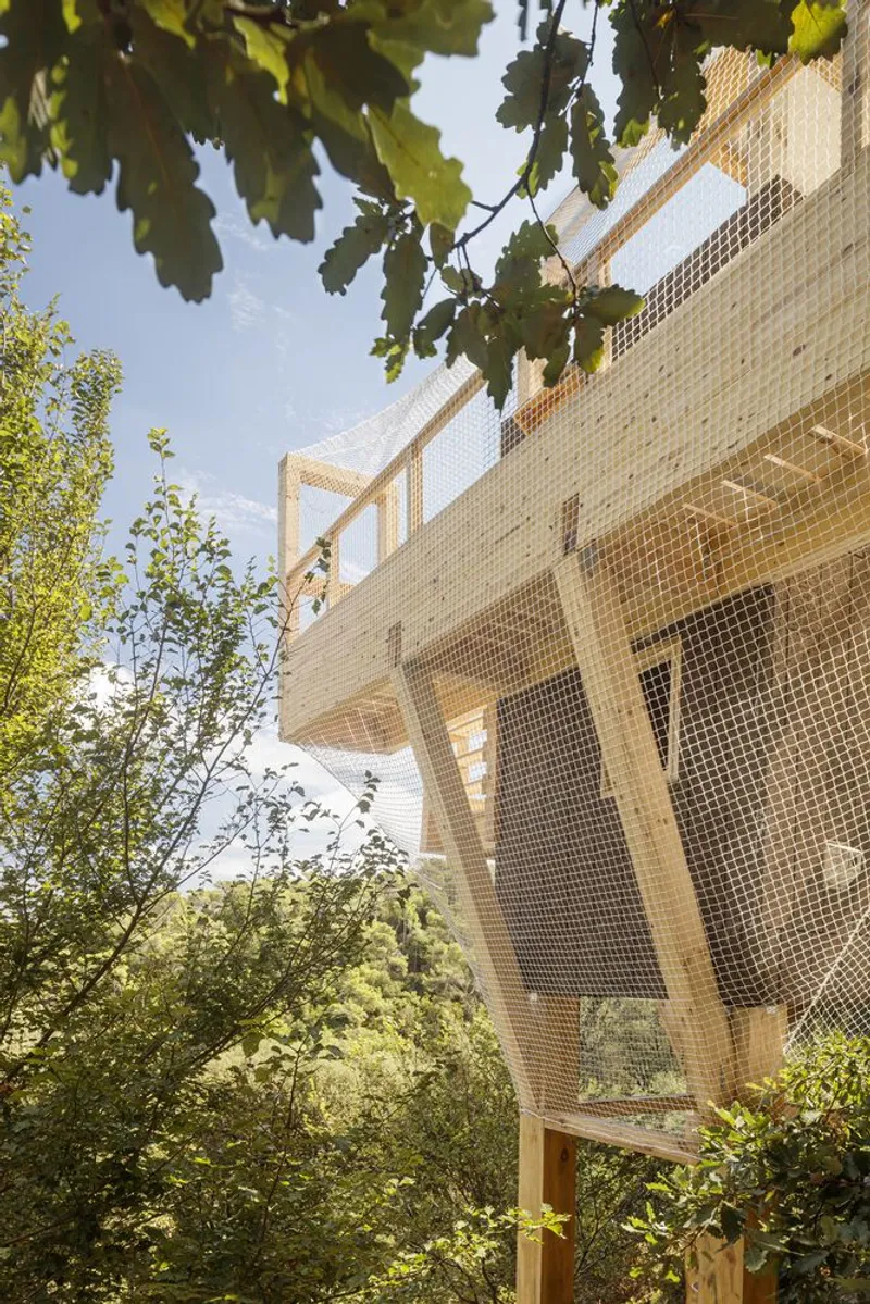 Upward view of the mesh-wrapped timber tower through grape vine leaves and surrounding trees