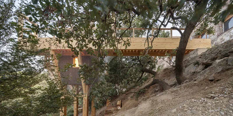 Elevated timber deck with wire mesh screens threading through mature oak trees on a sloped site