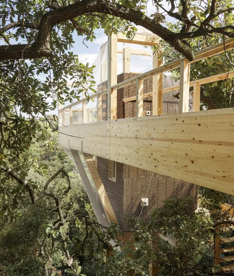 Curved timber walkway wrapped in wire mesh weaving through the canopy of existing trees