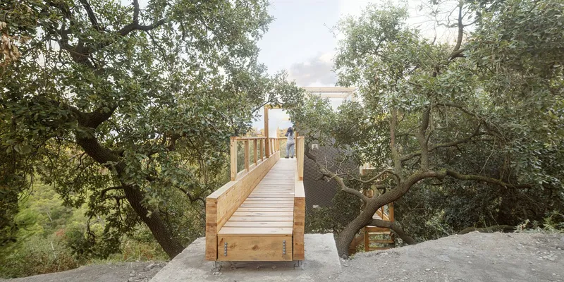 Timber bridge with slatted deck connecting hillside to raised structure amid oak trees
