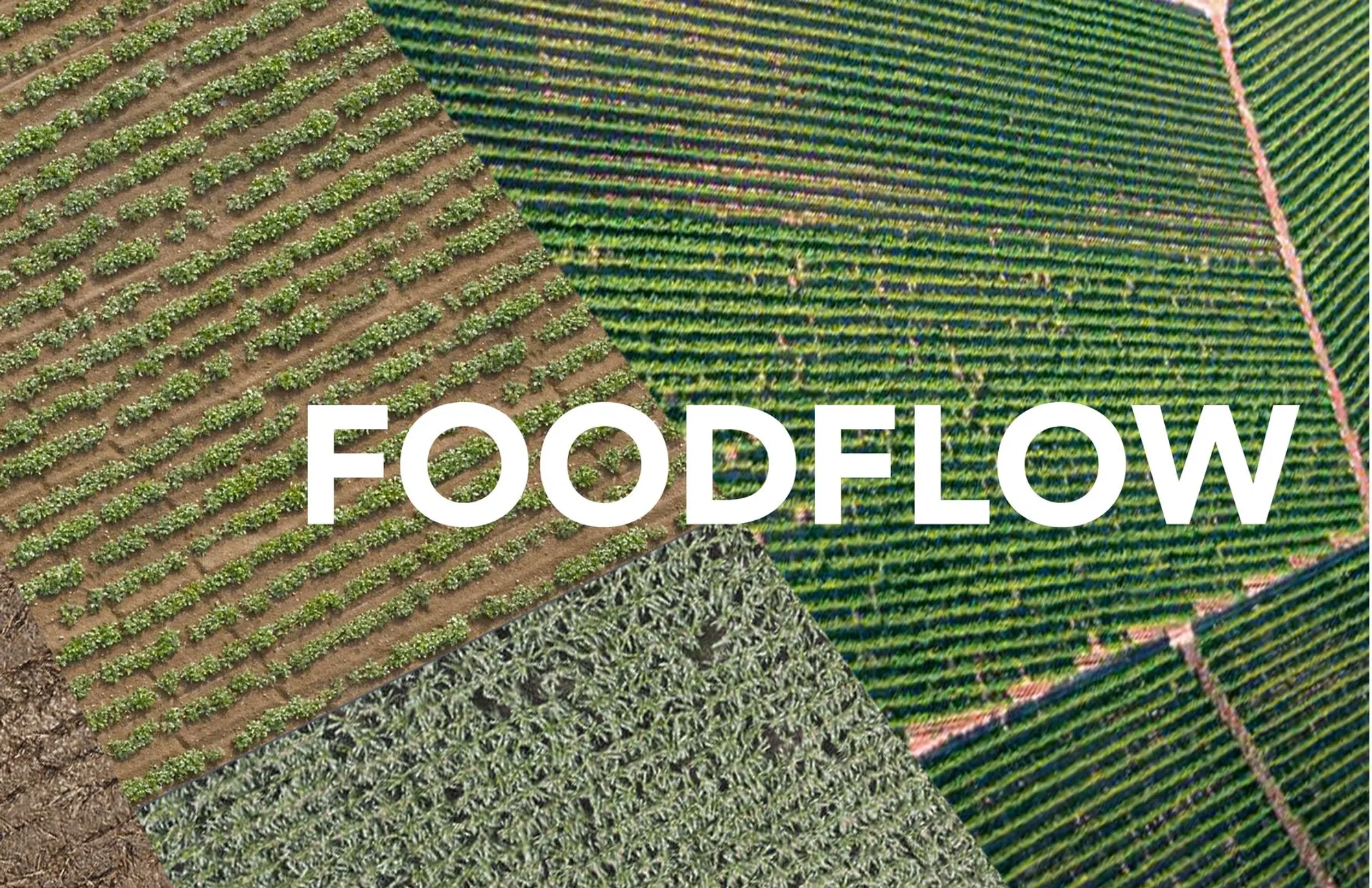FoodFlow: Modular Urban Farming Embedded in the Architecture of the City