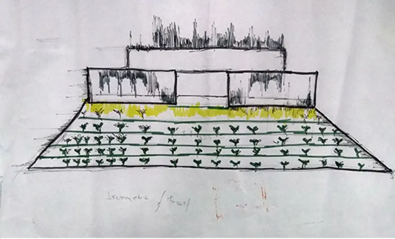 Early sketch illustrating terrace farming as a key feature of the Urban Mountain’s sustainable design.