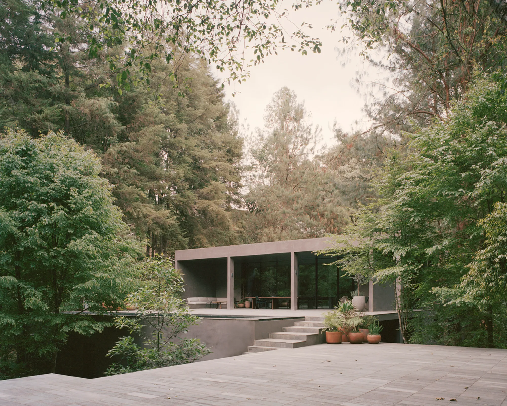 Copas House in Valle de Bravo by PPAA: A Treetop Retreat Rooted in Nature