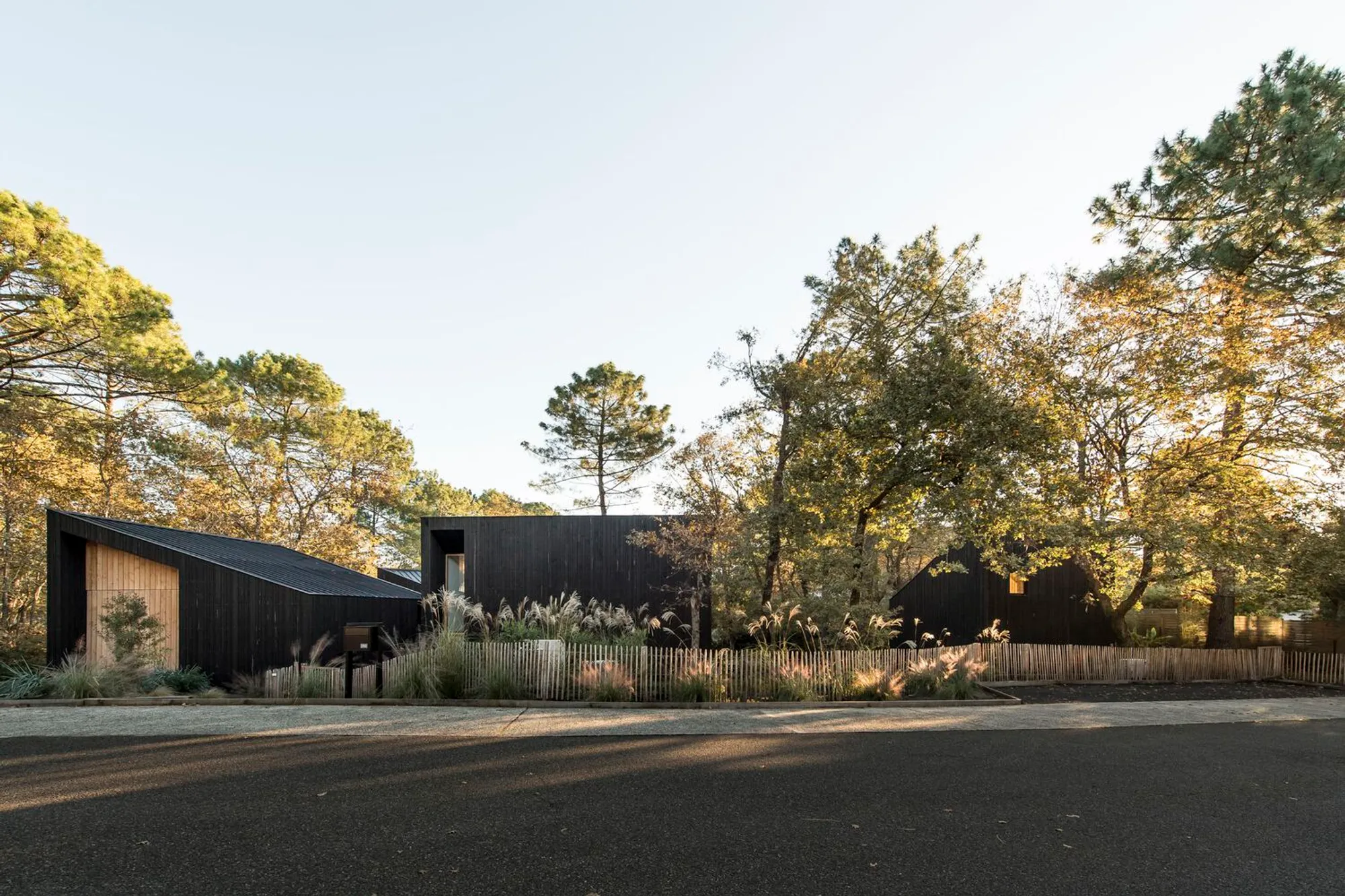 House in the Trees by OECO Architectes: A Sustainable Timber Home in Biscarrosse, France