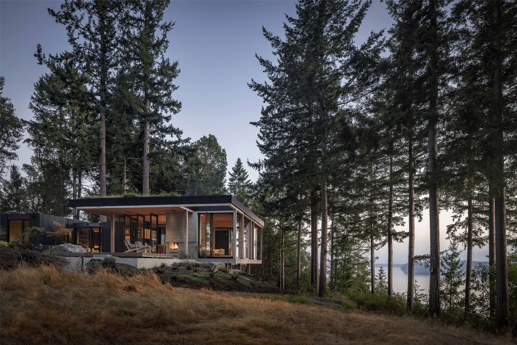 Longbranch Residence: A Forest-Integrated Contemporary Home in Key Center, Washington