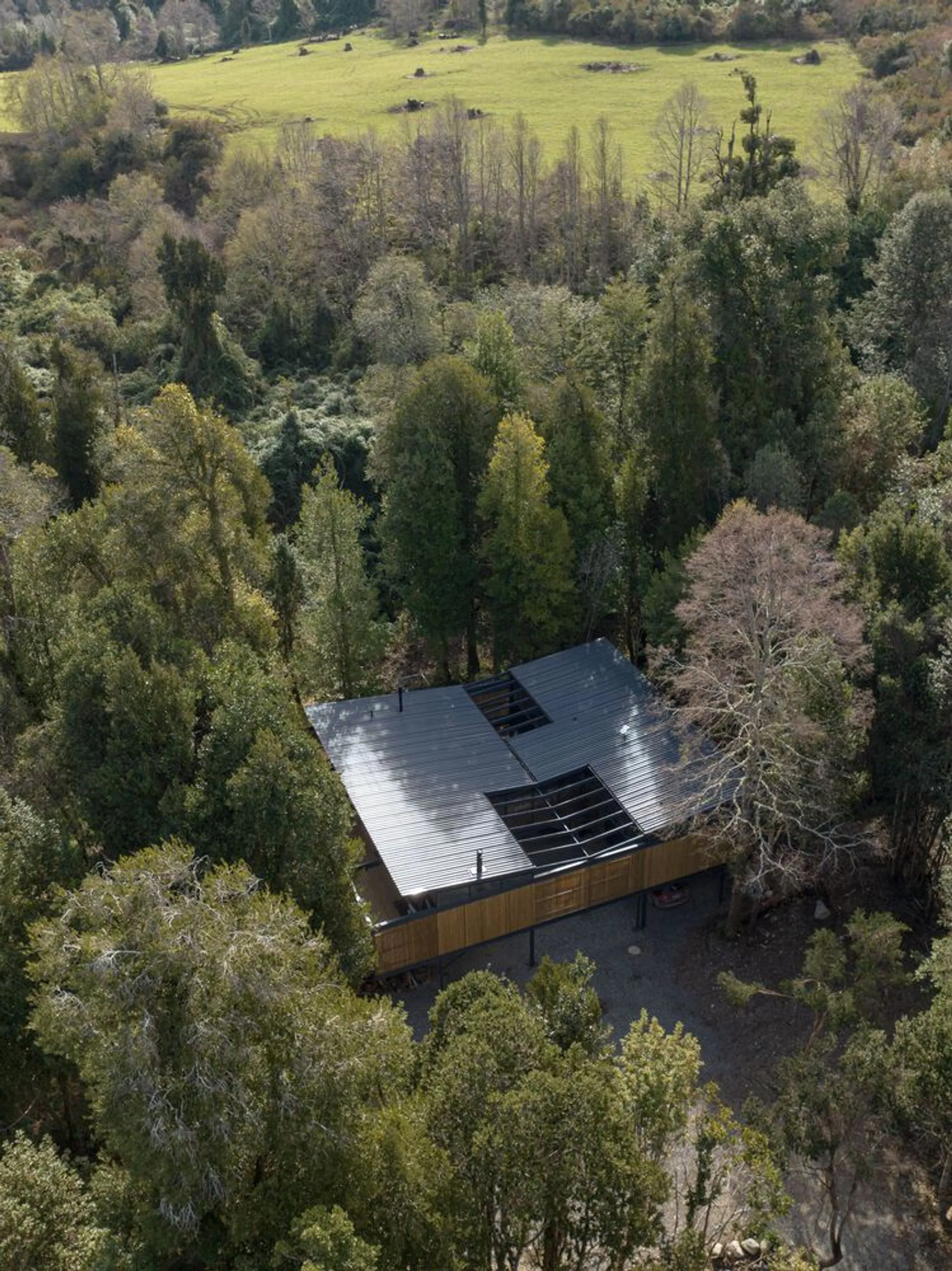 Roble Huacho House by Hebra Arquitectos: Forest-Integrated Modern Living in Futrono, Chile