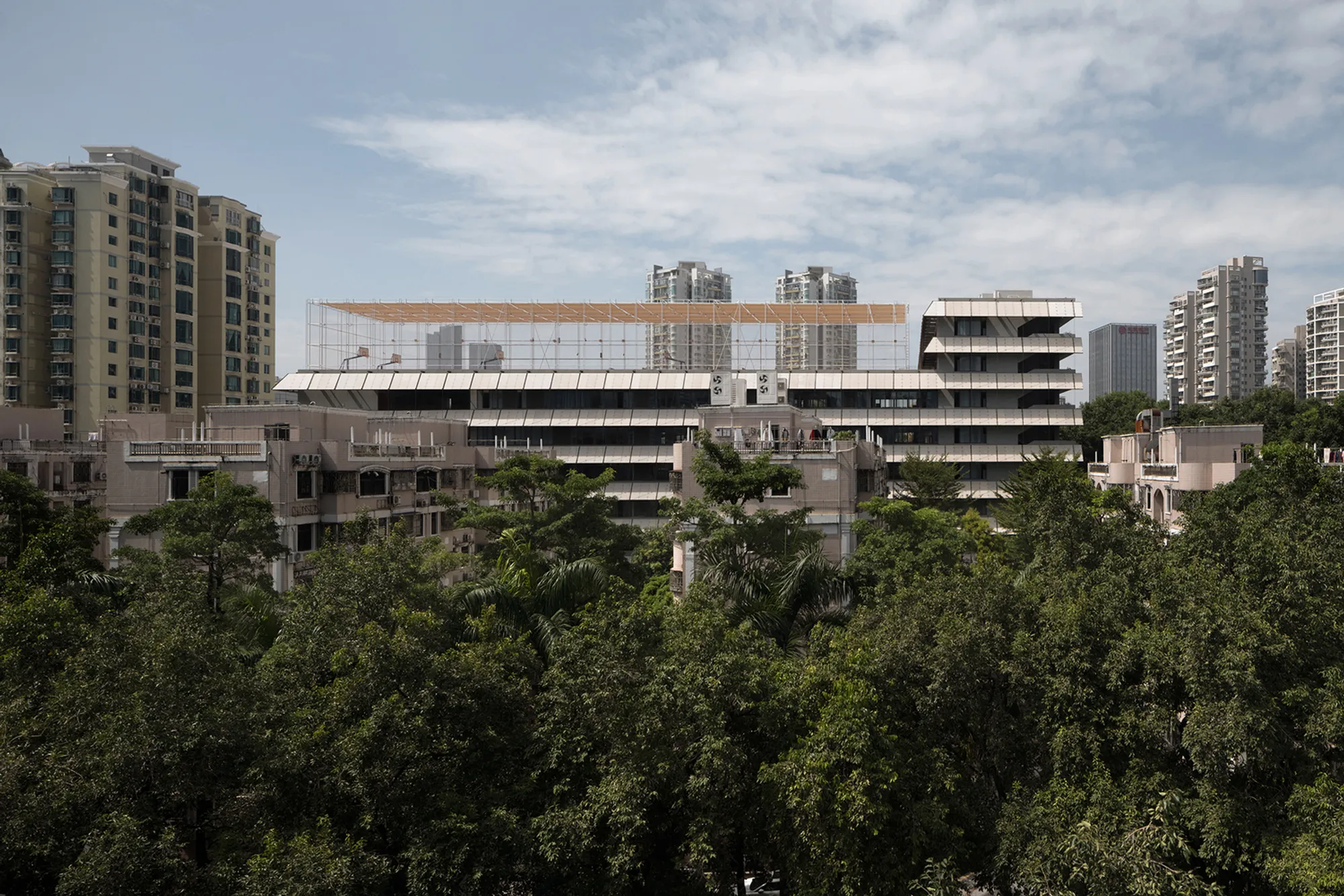 Liyuan Foreign Language Primary School Integrating Forest, City, and Learning in Shenzhen