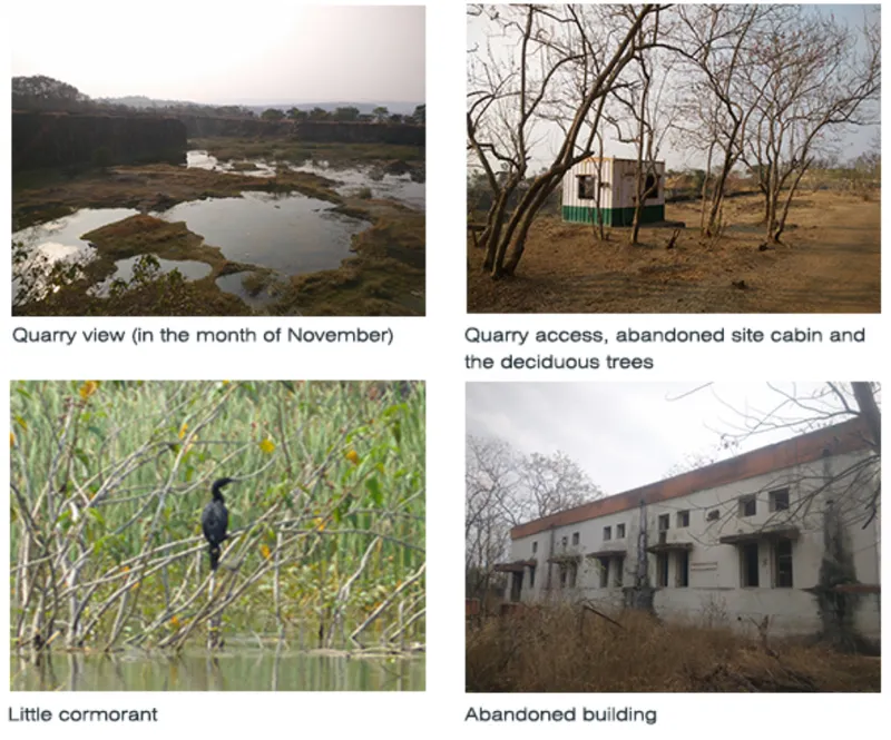 Degraded quarry landscape and abandoned structures awaiting ecological restoration.