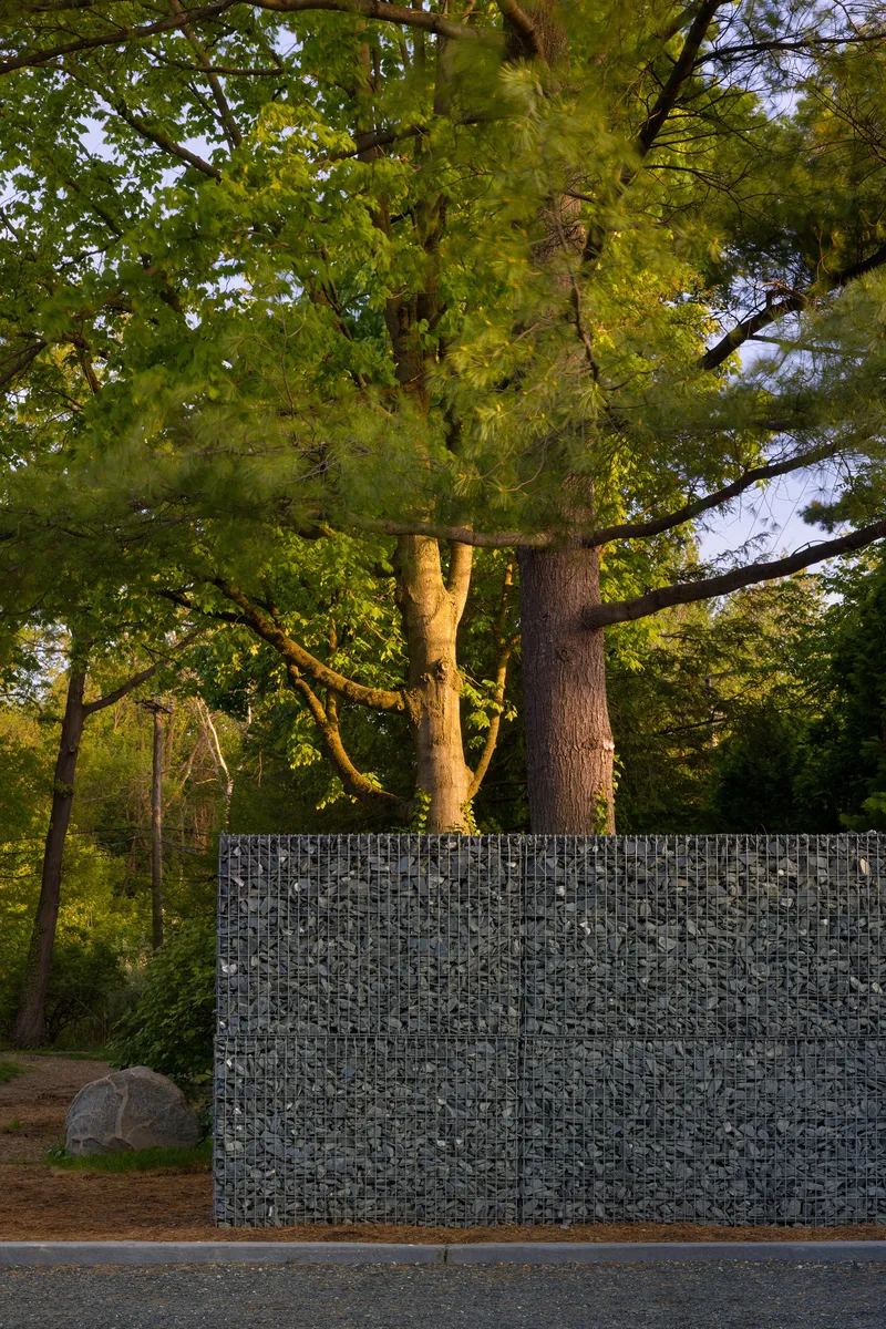 Gabion wall filled with grey stone beside mature trees illuminated by low evening sunlight