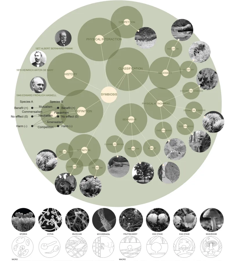 Symbiosis concept diagram exploring ecological relationships and interdependence across species and systems.