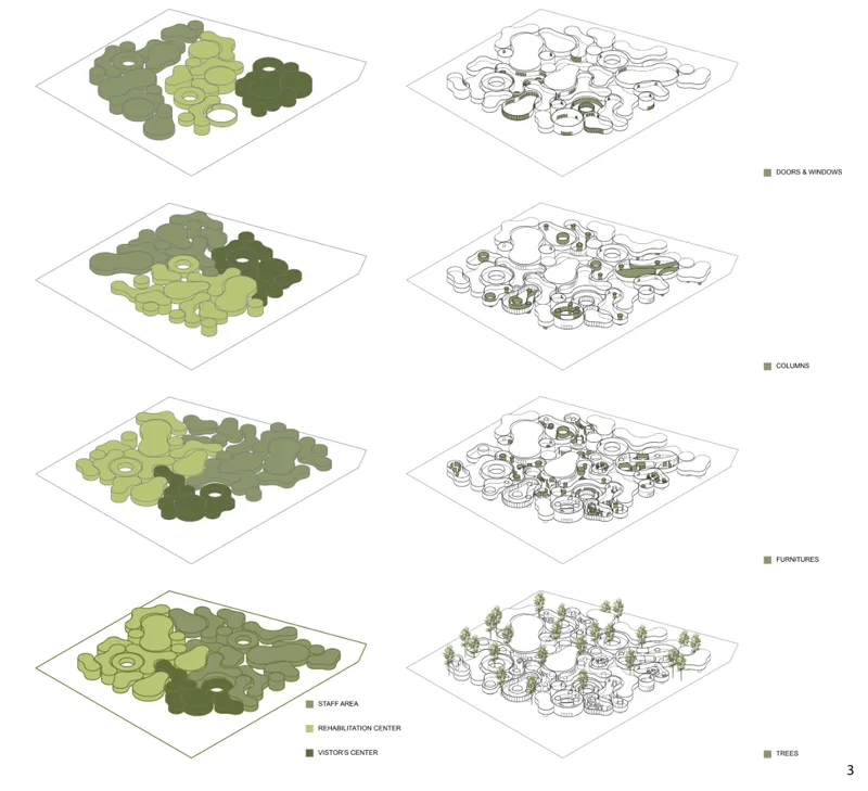 Organic layout evolution showing zonal distribution of rehabilitation, staff, and visitor spaces.