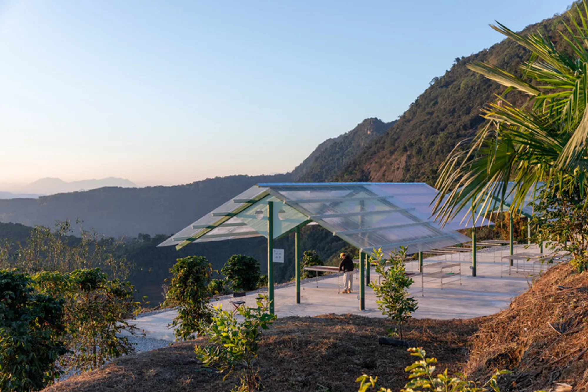 Terraweave Coffee Yard: A Mountain Canopy Structure Shaping Landscape, Craft, and Production