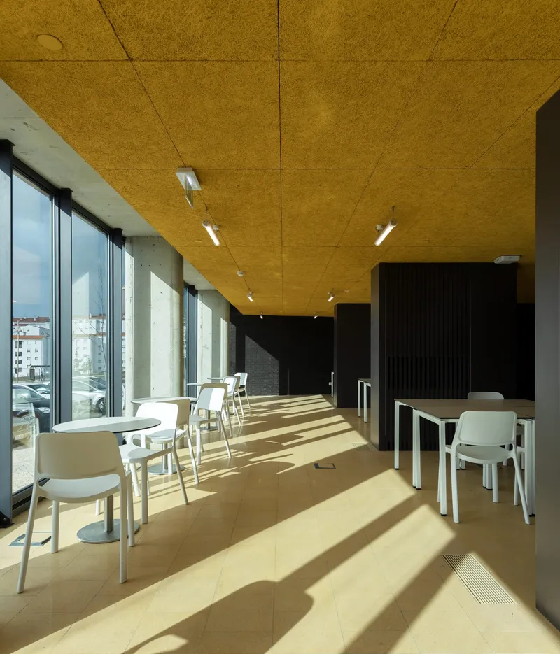 Interior dining space with yellow acoustic ceiling panels and white chairs bathed in afternoon sunlight