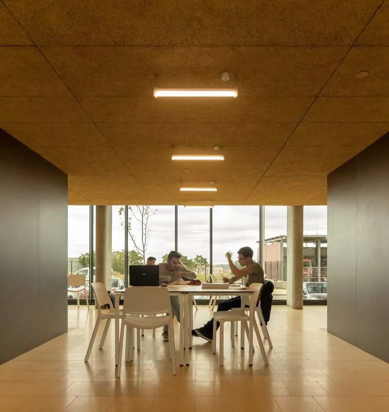 Dining area with light timber table and chairs beneath a cork panel ceiling with linear fixtures