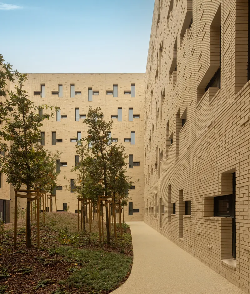 Landscaped pathway between buff brick facades with young trees and planted beds
