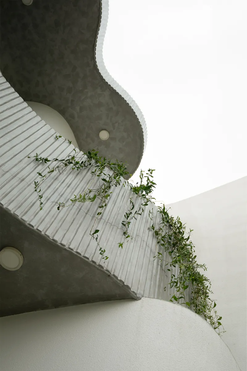 Curving white staircase with ribbed underside and trailing vines against concrete soffit