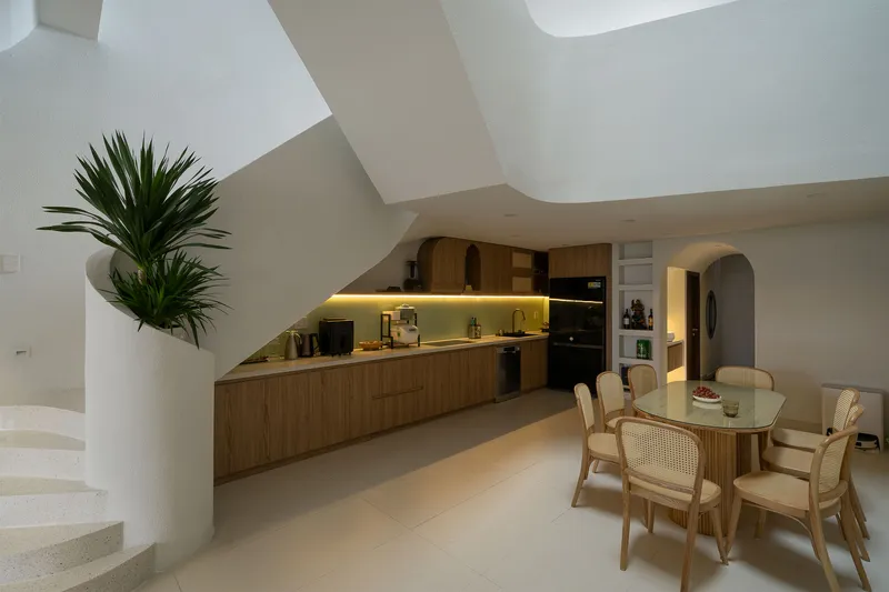 Open kitchen and dining area with timber cabinetry beneath angular white ceiling and potted palm