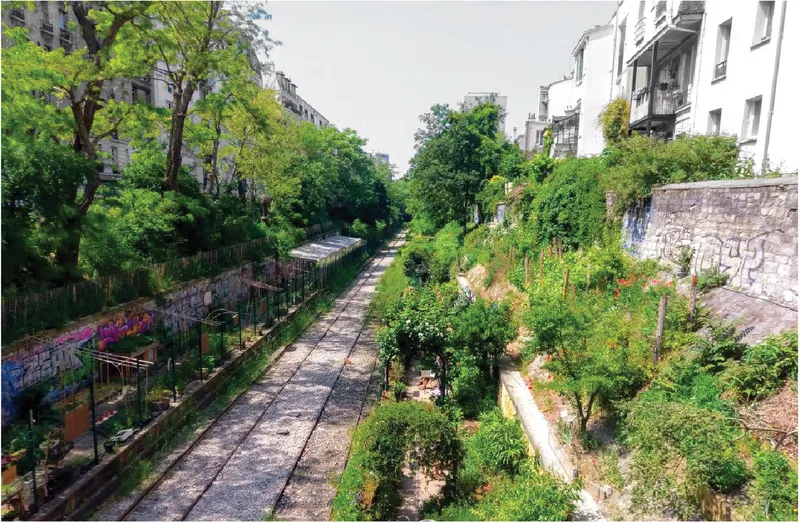 Existing rail corridor transformed into a linear green spine, revealing the latent potential of urban voids in Paris.