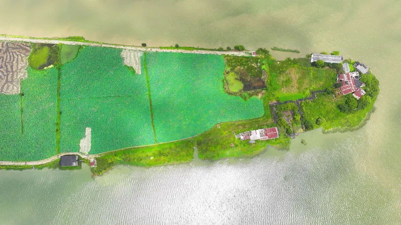 Aerial view of a narrow peninsula extending into green water with rice paddies and scattered buildings
