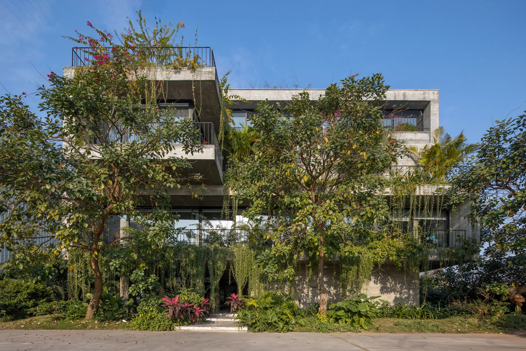 Meditation Office by ARO Studio: A Sustainable, Biophilic Workspace in Bắc Ninh, Vietnam