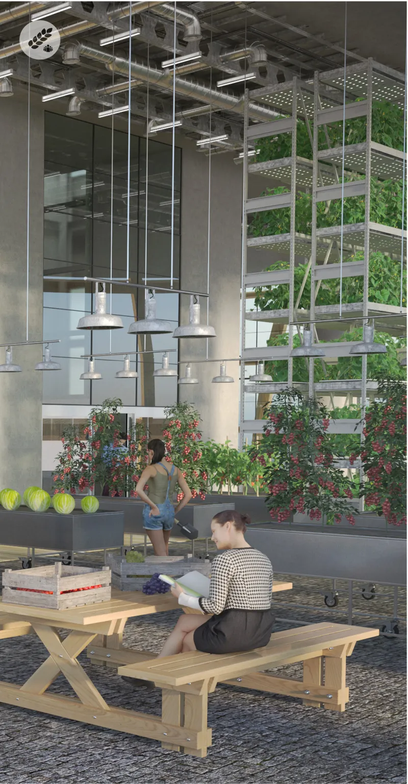 Indoor cultivation space demonstrates community engagement with urban farming, where food production becomes part of everyday social life.