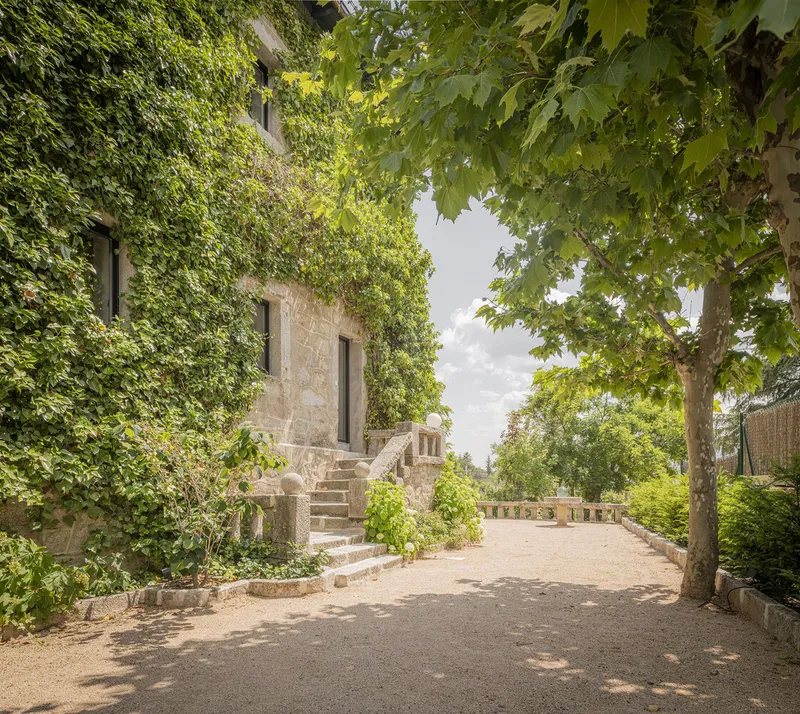 Exterior terrace with gravel surface shaded by plane trees and climbing ivy on stone walls