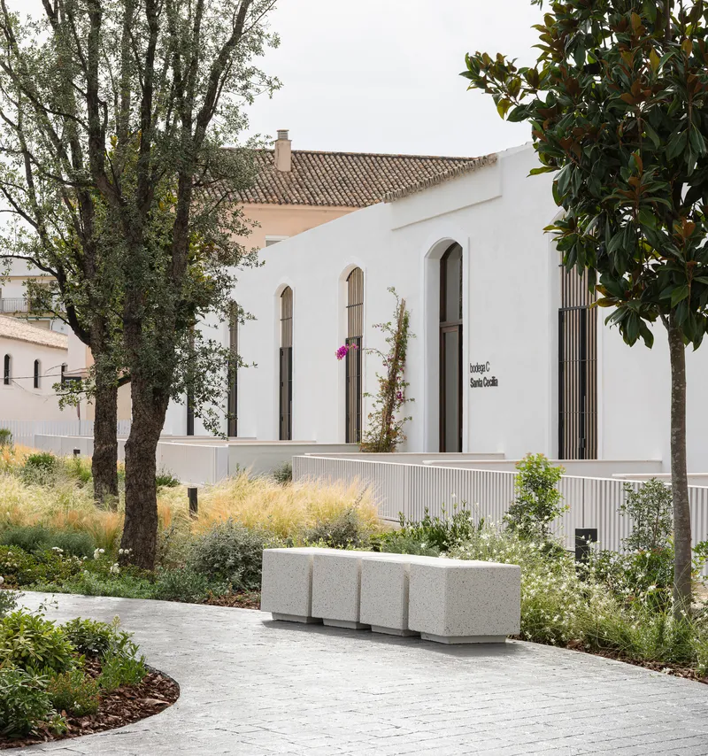 Pedestrian path through the planted garden with a stone bench