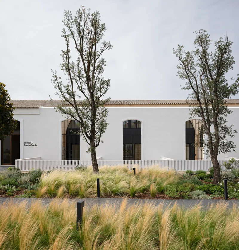Whitewashed bodega elevation behind the wild grass garden