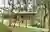 Macieiras House by Mateus Castilho and Patricia Bueno: Nature-Integrated Residential Design in Nova Lima