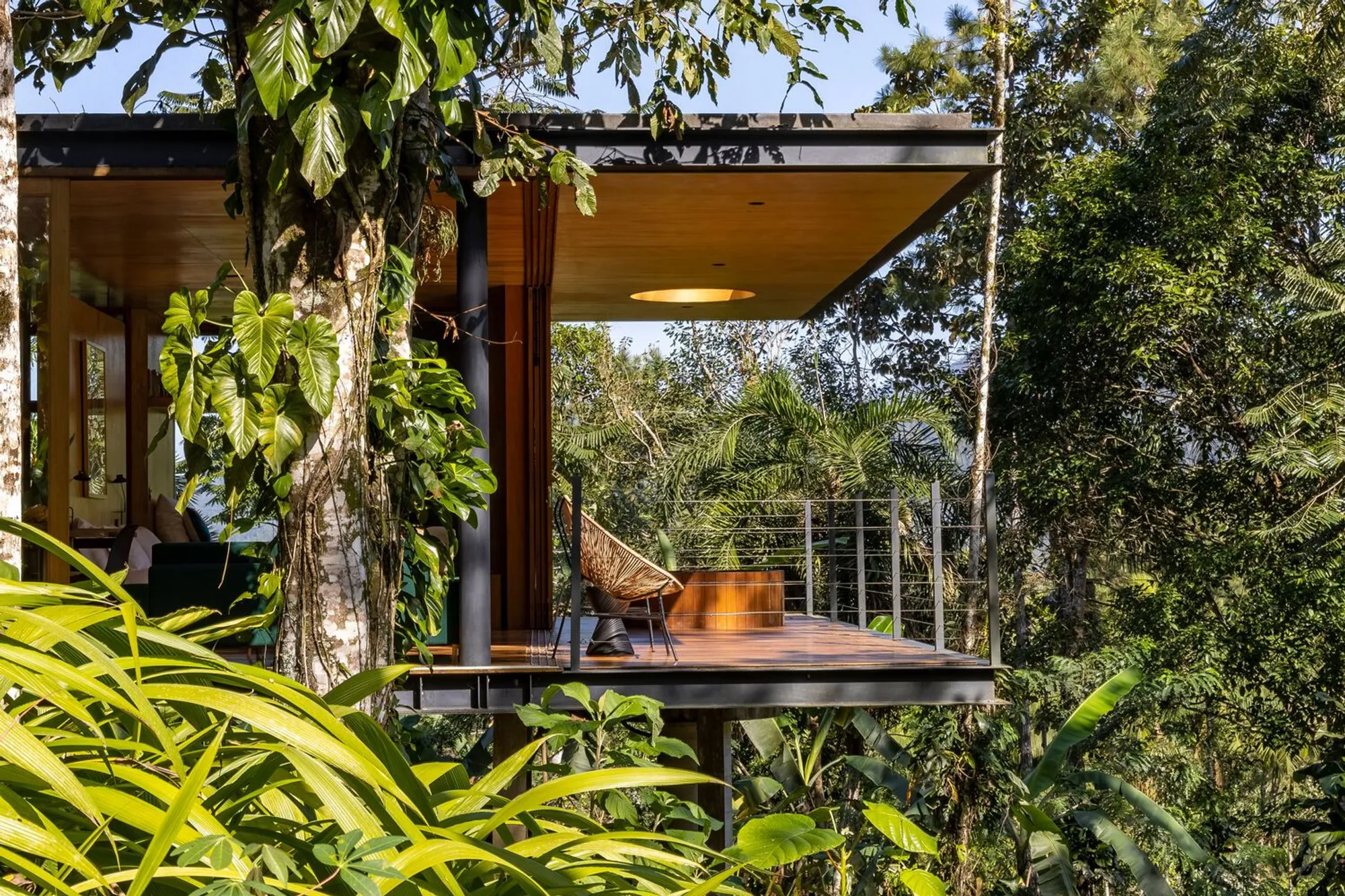 Jaguatirica Cabin by Pitta Arquitetura: A Serene Retreat in the Atlantic Forest