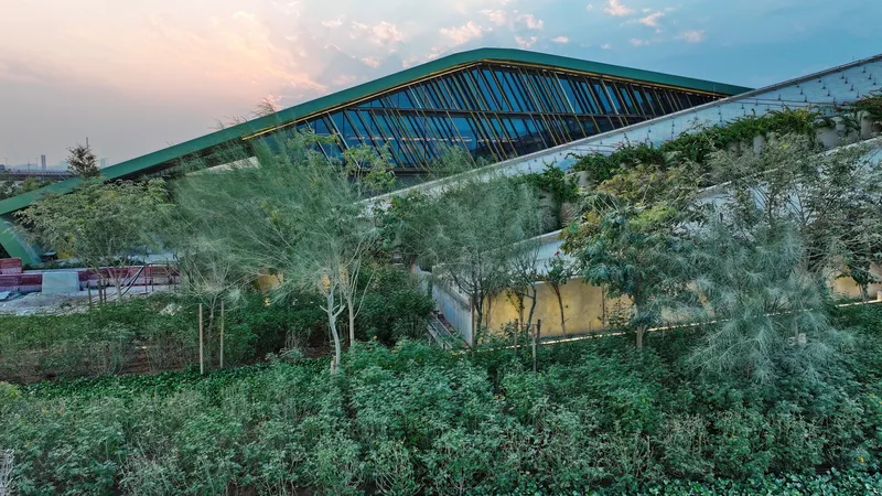 Sloped green roof with integrated glazing rising above terraced planting at dusk